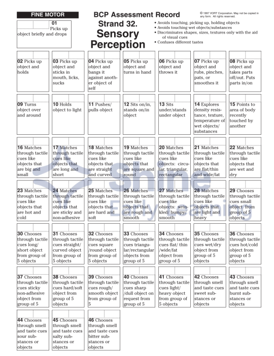 Bcp File BCP Assessment Record – Shine Early Learning