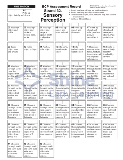 Bcp Questions BCP Assessment Record – Shine Early Learning